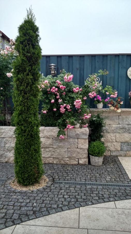 Pension Dorfstrasse 6 シュテッテン エクステリア 写真